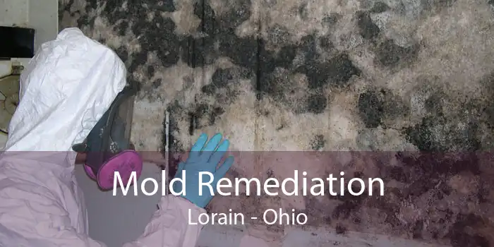 Mold Remediation Lorain - Ohio