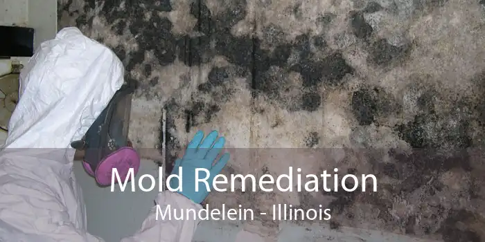 Mold Remediation Mundelein - Illinois