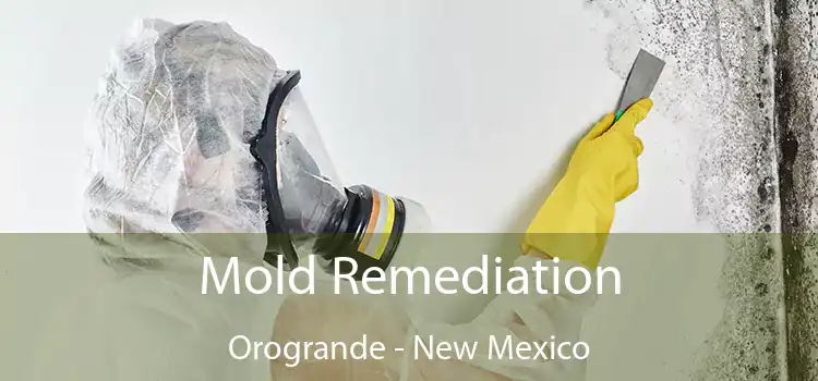 Mold Remediation Orogrande - New Mexico