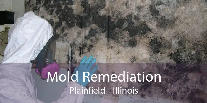 Mold Remediation Plainfield - Illinois