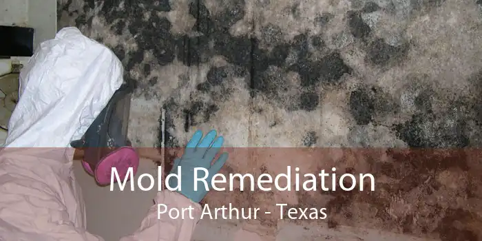 Mold Remediation Port Arthur - Texas