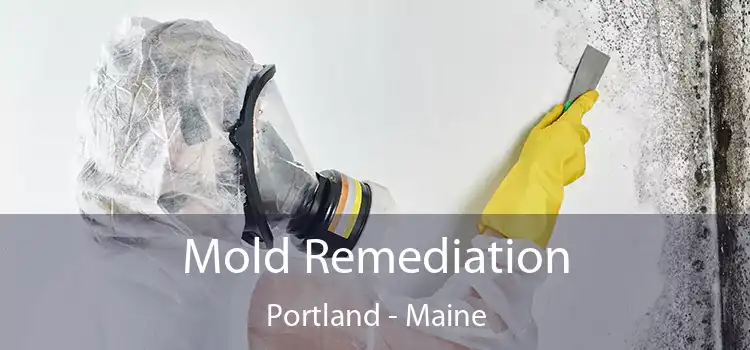 Mold Remediation Portland - Maine