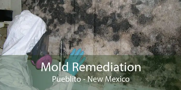 Mold Remediation Pueblito - New Mexico