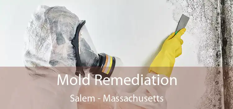 Mold Remediation Salem - Massachusetts