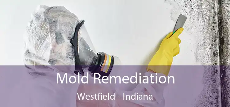 Mold Remediation Westfield - Indiana