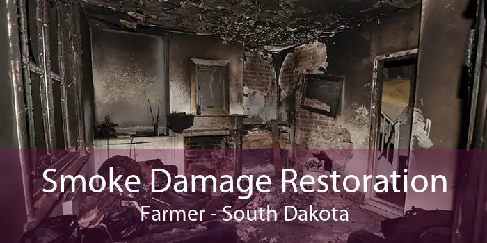 Smoke Damage Restoration Farmer - South Dakota