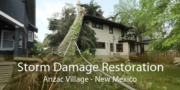 Storm Damage Restoration Anzac Village - New Mexico