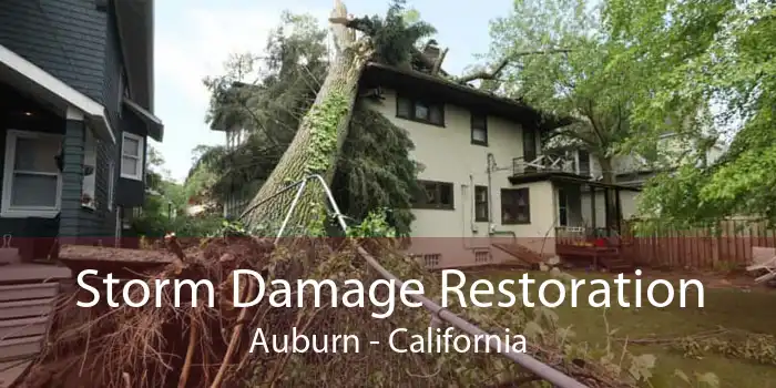 Storm Damage Restoration Auburn - California