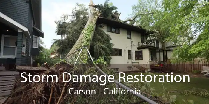 Storm Damage Restoration Carson - California