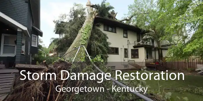 Storm Damage Restoration Georgetown - Kentucky