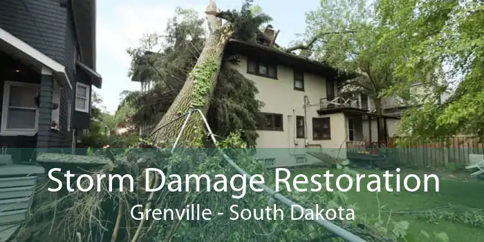 Storm Damage Restoration Grenville - South Dakota