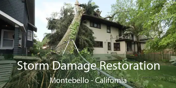 Storm Damage Restoration Montebello - California