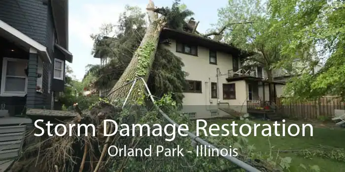 Storm Damage Restoration Orland Park - Illinois