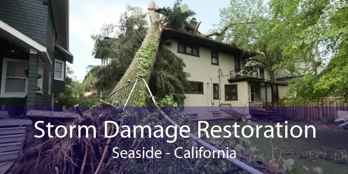 Storm Damage Restoration Seaside - California