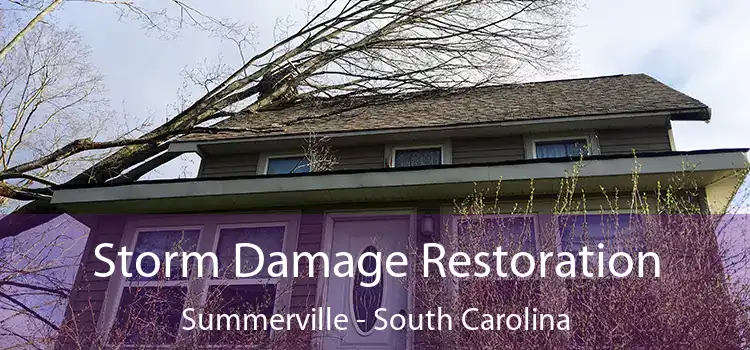 Storm Damage Restoration Summerville - South Carolina