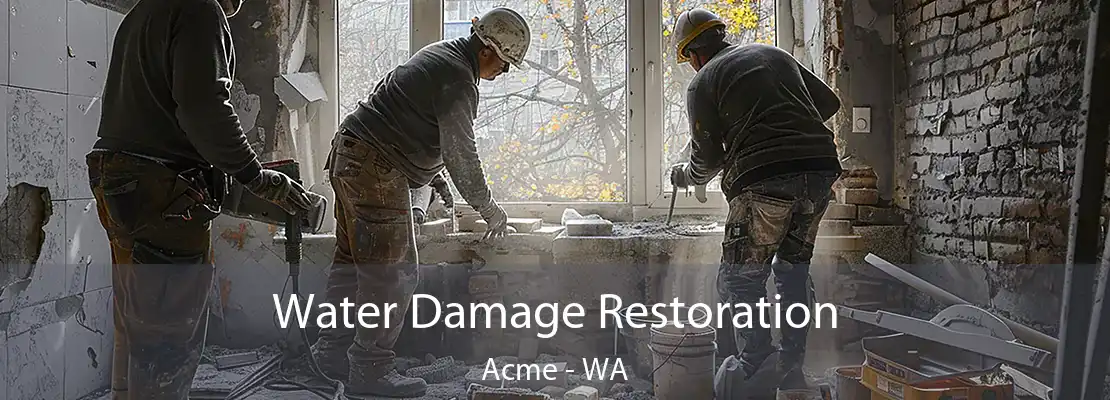 Water Damage Restoration Acme - WA