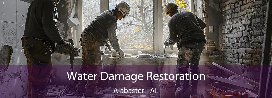 Water Damage Restoration Alabaster - AL