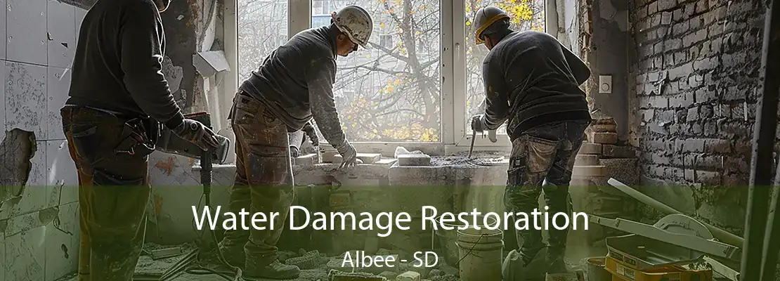 Water Damage Restoration Albee - SD