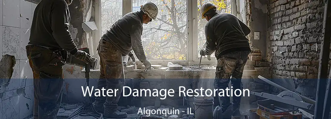 Water Damage Restoration Algonquin - IL