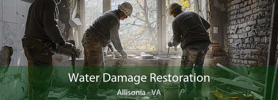 Water Damage Restoration Allisonia - VA