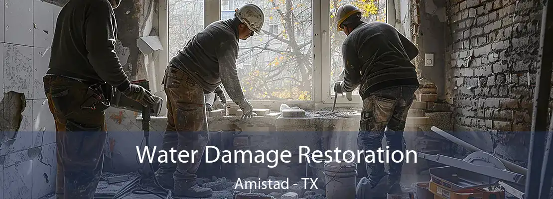 Water Damage Restoration Amistad - TX