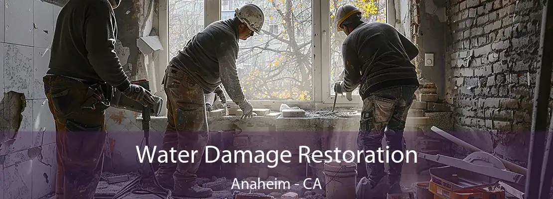 Water Damage Restoration Anaheim - CA