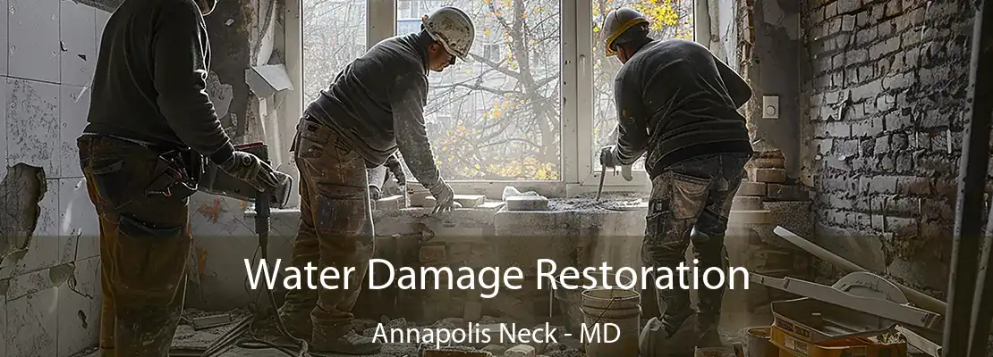 Water Damage Restoration Annapolis Neck - MD