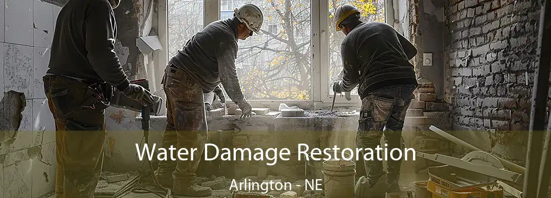 Water Damage Restoration Arlington - NE