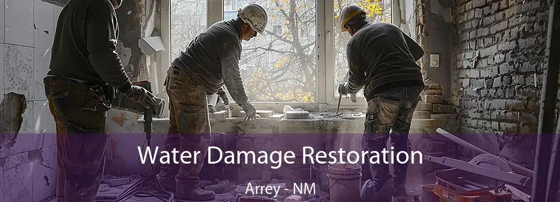 Water Damage Restoration Arrey - NM