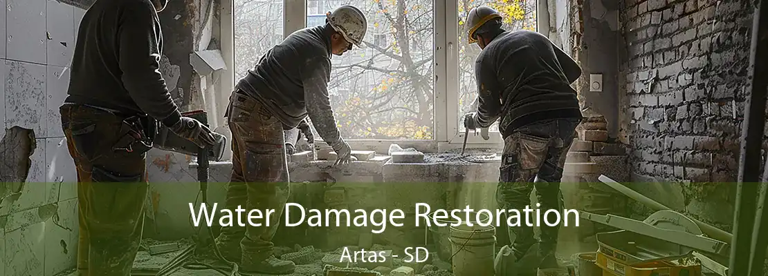 Water Damage Restoration Artas - SD