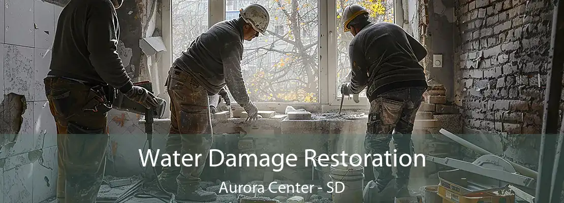 Water Damage Restoration Aurora Center - SD