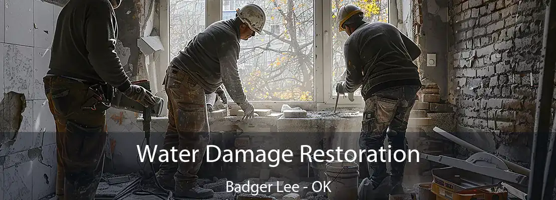 Water Damage Restoration Badger Lee - OK