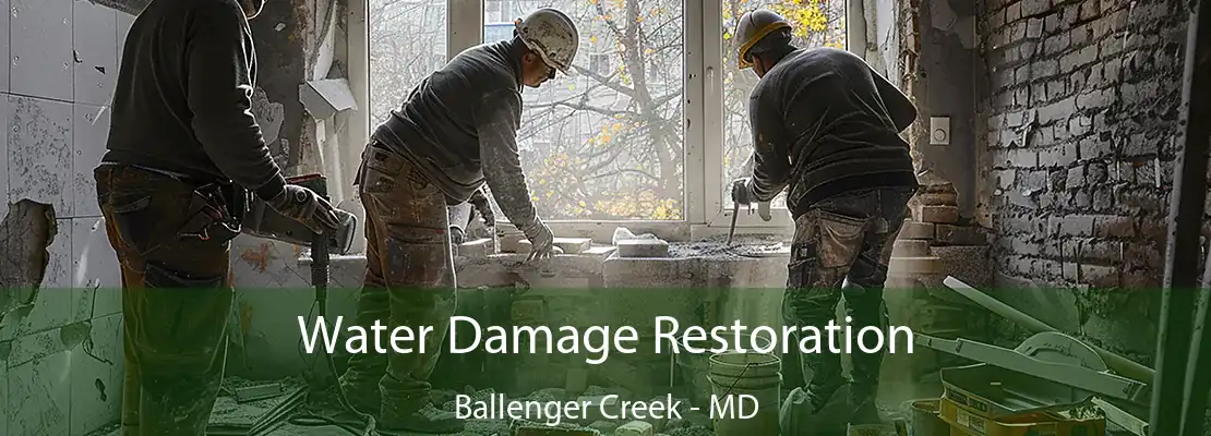 Water Damage Restoration Ballenger Creek - MD