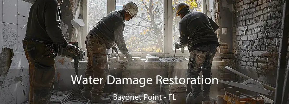 Water Damage Restoration Bayonet Point - FL