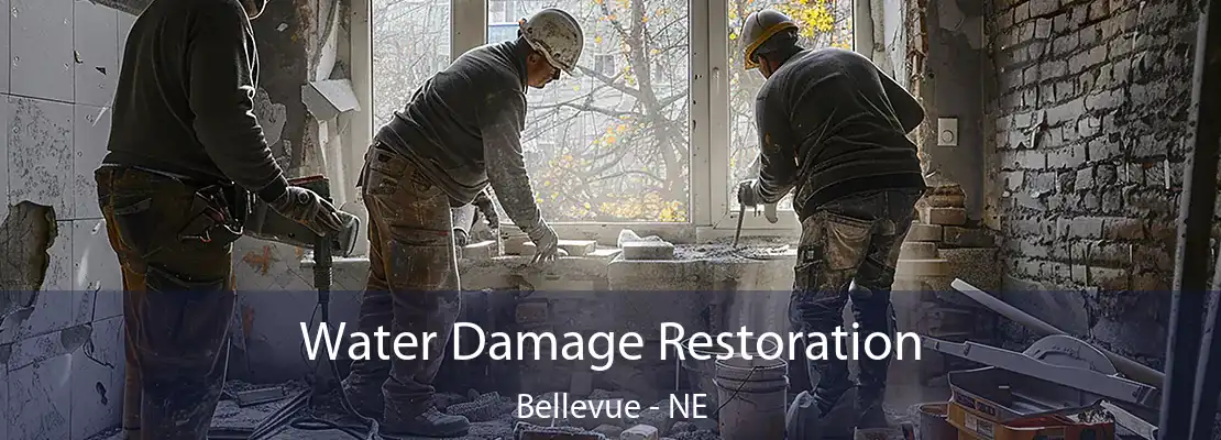 Water Damage Restoration Bellevue - NE