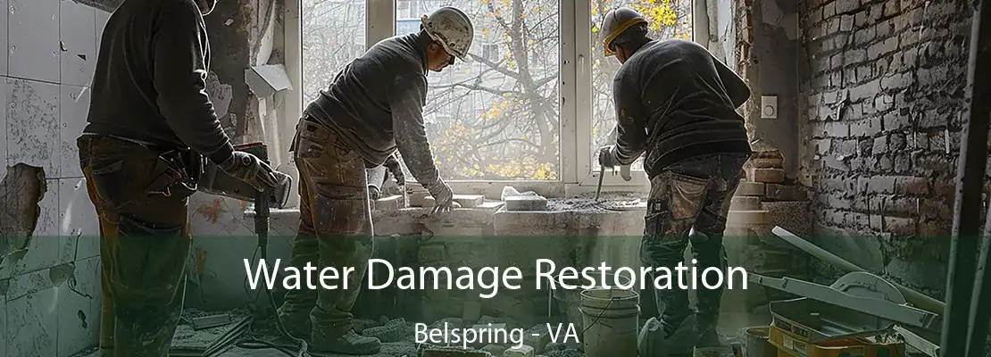 Water Damage Restoration Belspring - VA