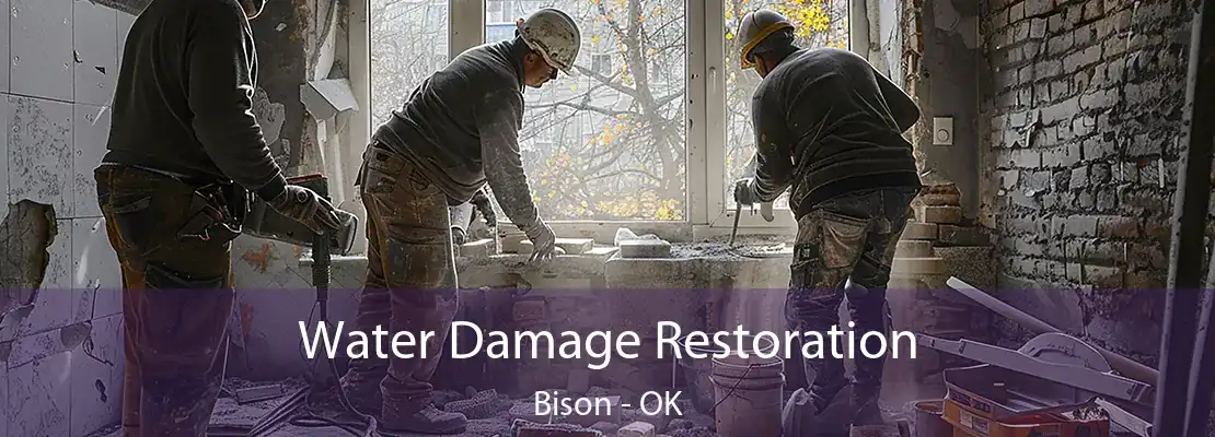 Water Damage Restoration Bison - OK