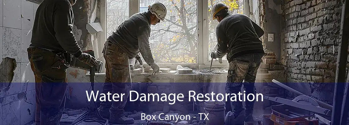 Water Damage Restoration Box Canyon - TX