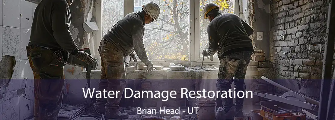 Water Damage Restoration Brian Head - UT