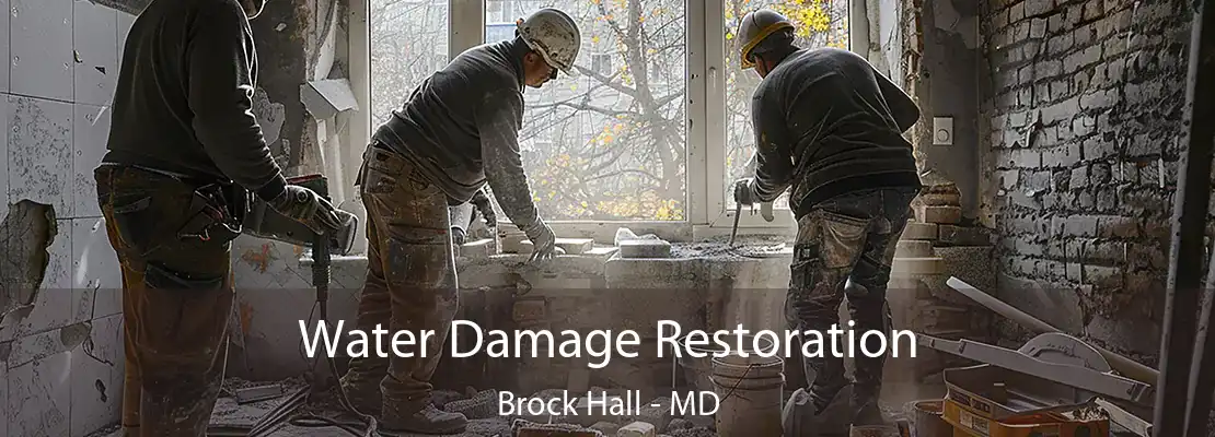 Water Damage Restoration Brock Hall - MD