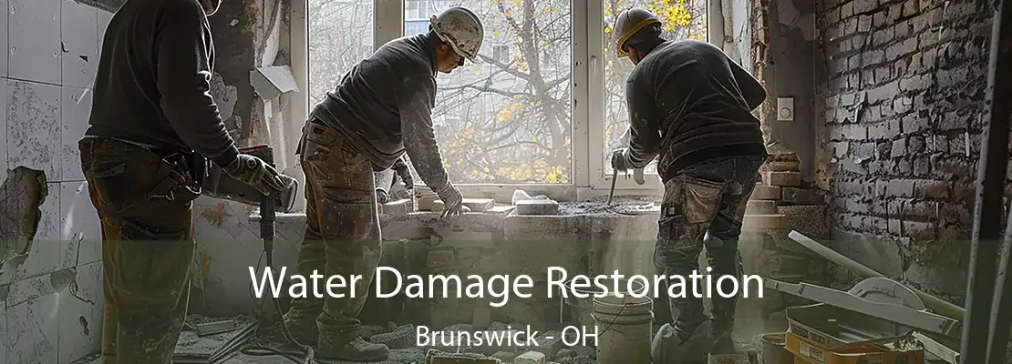 Water Damage Restoration Brunswick - OH