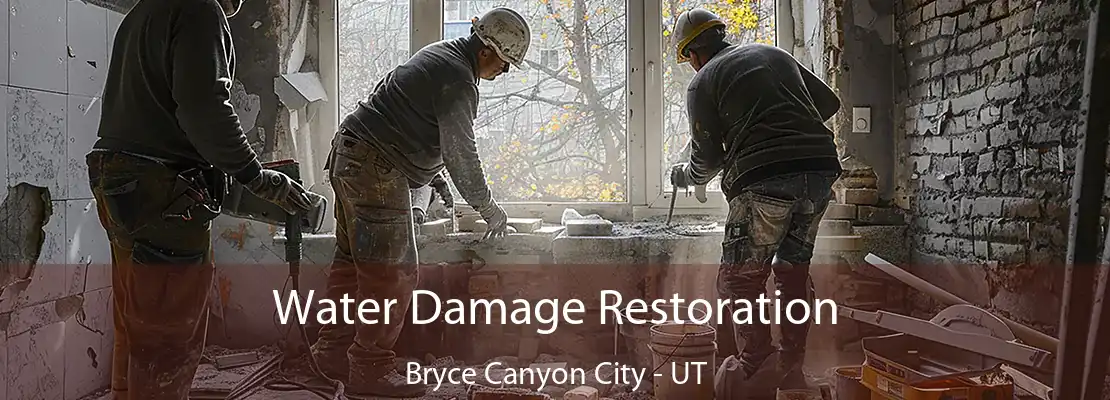 Water Damage Restoration Bryce Canyon City - UT