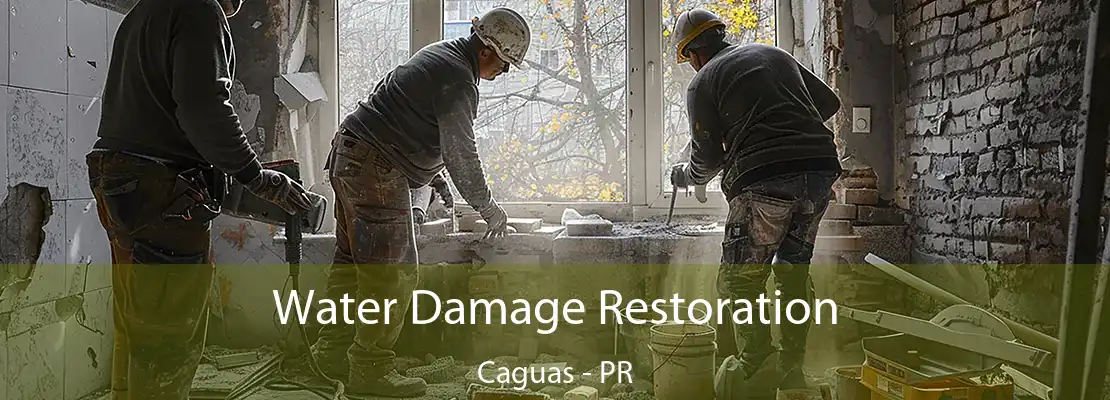 Water Damage Restoration Caguas - PR