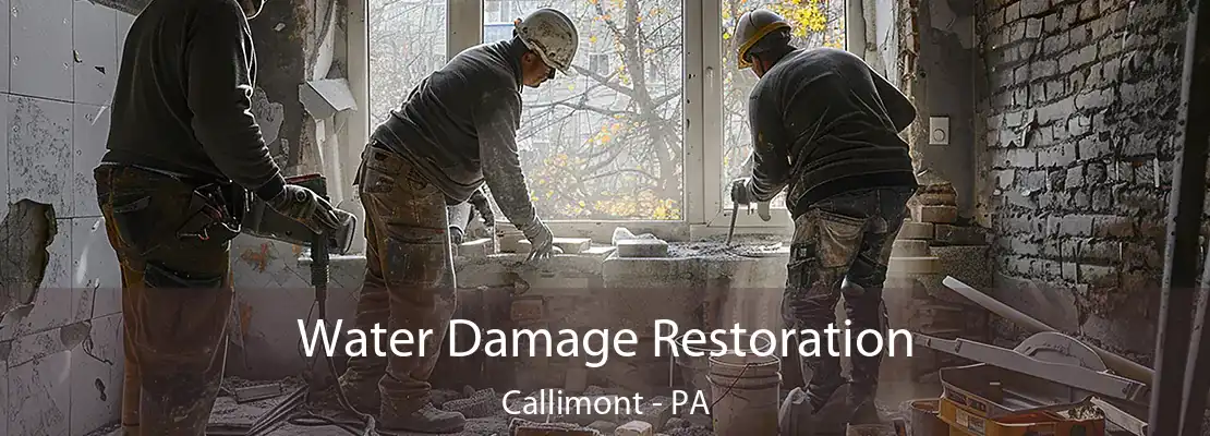 Water Damage Restoration Callimont - PA