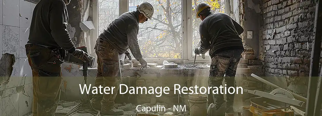 Water Damage Restoration Capulin - NM