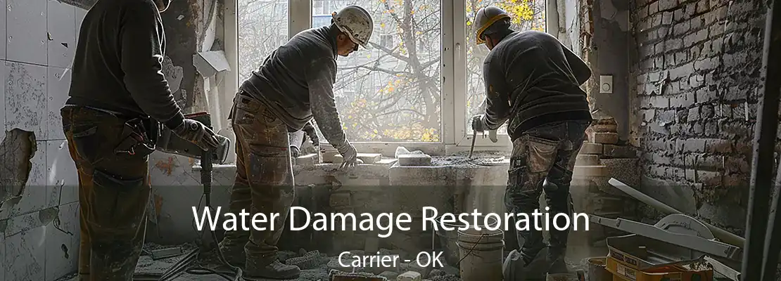 Water Damage Restoration Carrier - OK