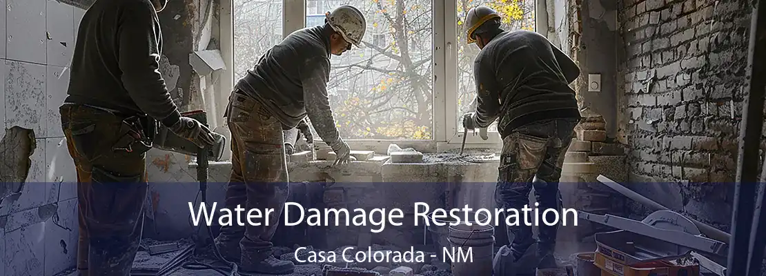 Water Damage Restoration Casa Colorada - NM