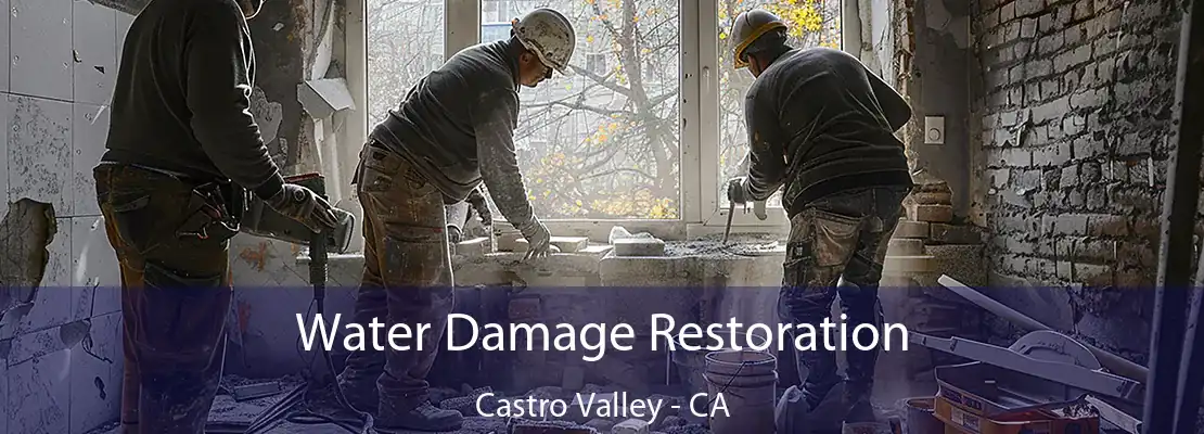 Water Damage Restoration Castro Valley - CA