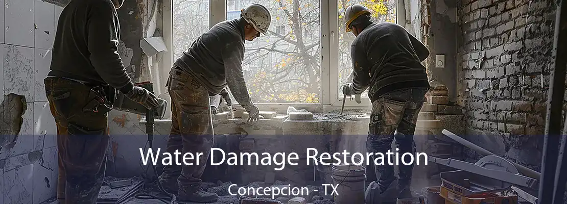 Water Damage Restoration Concepcion - TX