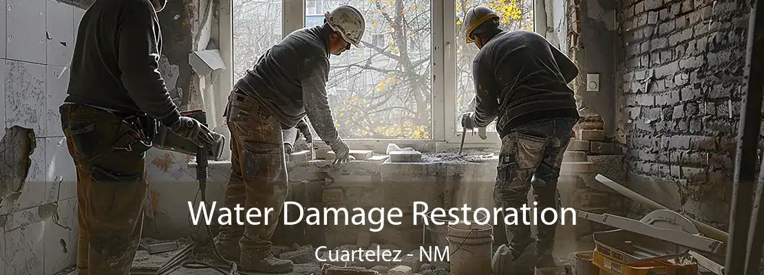 Water Damage Restoration Cuartelez - NM